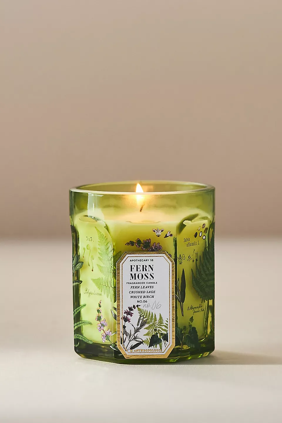 Fresh Fern Moss Glass Candle