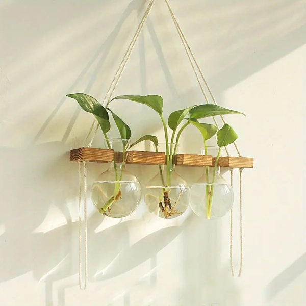 1 pièce, station de propagation de plantes murale, vase à 6 ampoules, support en bois à 2 niveaux, kit de terrarium pour plantes, jardinière de décoration de jardin, bureau à domicile, jardinières murales pour plantes d'intérieur, cadeaux de jardinage pour femmes | Achetez Maintenant Pour Des Offres À Durée Limitée | Temu