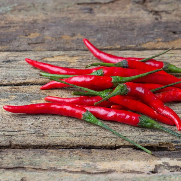Hot Pepper Seeds - Chile De Arbol