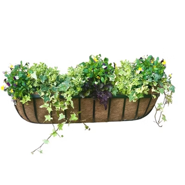 Tierra Garden Cambridge Wall Trough with Coco Liner – Stylish Black Gloss Finish, Perfect for Windows, Available in 24", 30", 36" Sizes