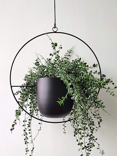 RISEON Boho Black Metal Plant Hanger,Metal Wall and Ceiling Hanging Planter, Modern Planter, Mid Century Flower Pot Plant Holder, Minimalist Planter for Indoor Outdoor Home Decor - Black