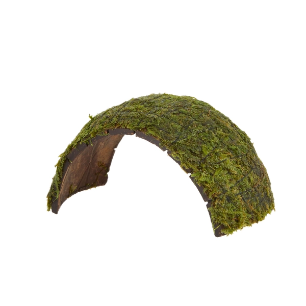 Top Fin® Shrimp Moss & Coconut Bridge Live Aquatic Plant