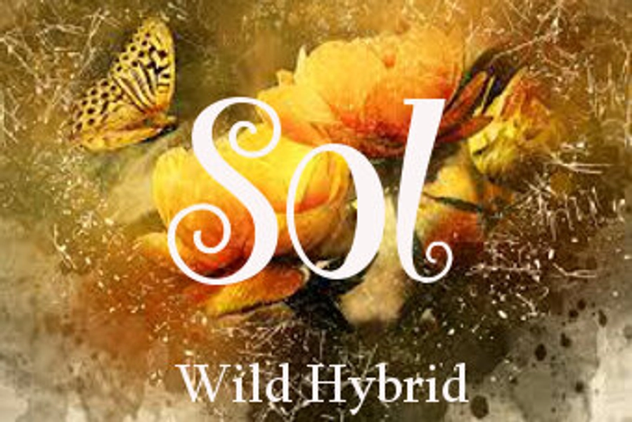 Sol