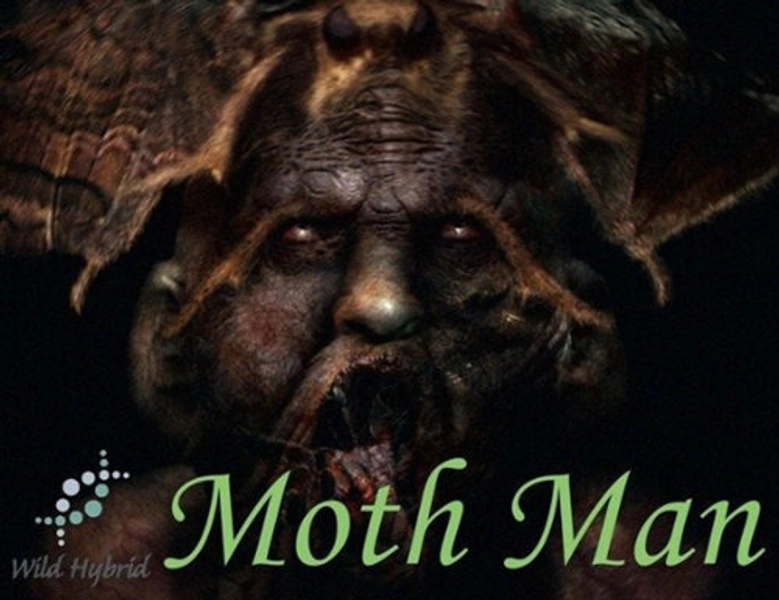 Moth Man