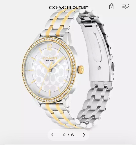 Coach Watch