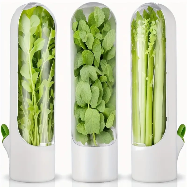 1/2 pièces boîte   légumes conservation herbes - Temu France