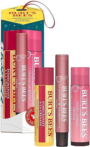 Burt's Bees Lip Care Gift Set