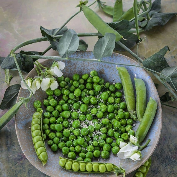 Pea Seeds, Lillian's Caseload