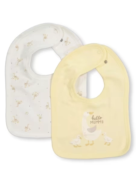 2 Pk Bib