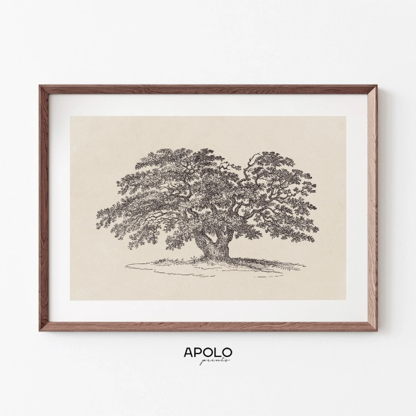 Wide Oak Tree Sketch Print, Printable Vintage Tree Drawing Enhanced, Downloadable Farmhouse Print