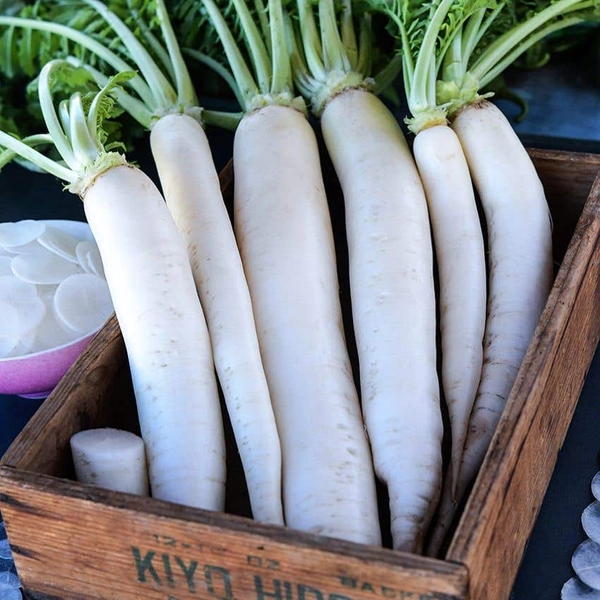 Radish Seeds, Japanese Minowase Daikon
