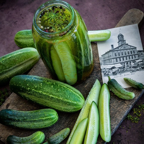 Cucumber Seeds, Boston Pickling