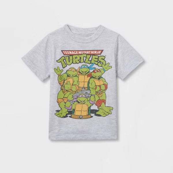 Toddler Boys' Teenage Mutant Ninja Solid T-Shirt - Gray 5T