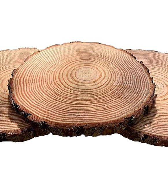 Set of (16) 9-10 inch Wood Slices for centerpieces! Centerpiece Table Decor, 9" Wood Slices, kiln Dried (9 inch 16 Pack) - 9 inch 16 PACK