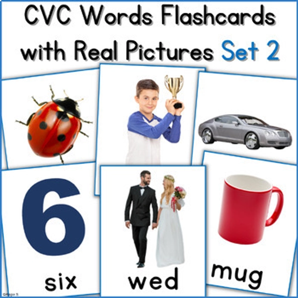 CVC Words Flashcards with Real Life Pictures Autism Special Education Set 2