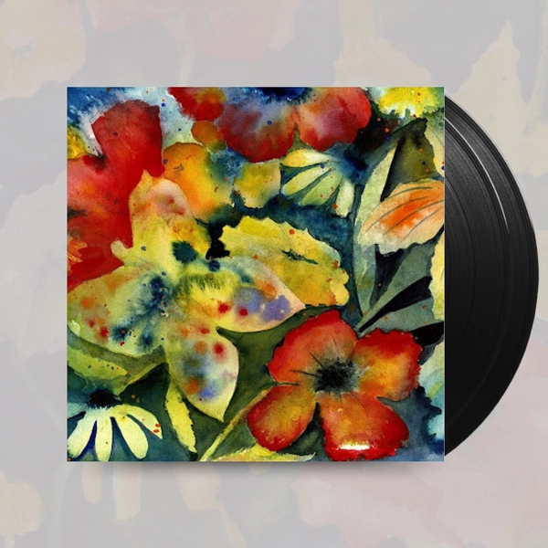 Songs And Instrumentals- Adrianne Lenker — Vertigo Vinyl
