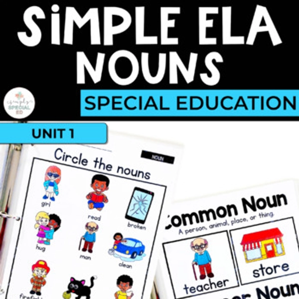 Nouns | Language Arts Workbook | ELA | Common Nouns | Worksheets | Special Ed