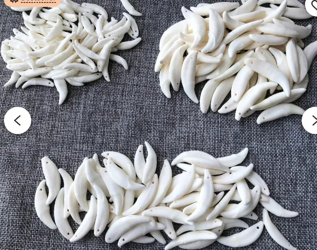 bulk tooth beeds (x30 peices)