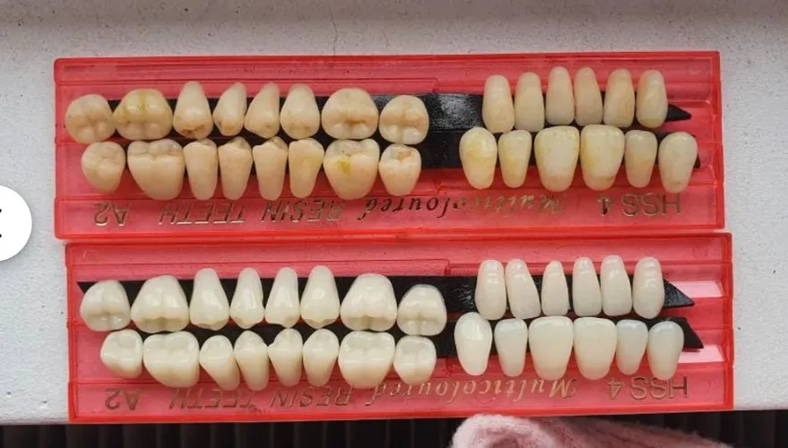 28 realistic resin teeth