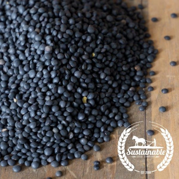 True Leaf Market | True Leaf Market Seed Company