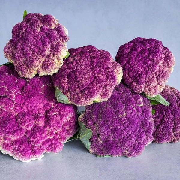 Cauliflower Seeds, Purple of Sicily 
