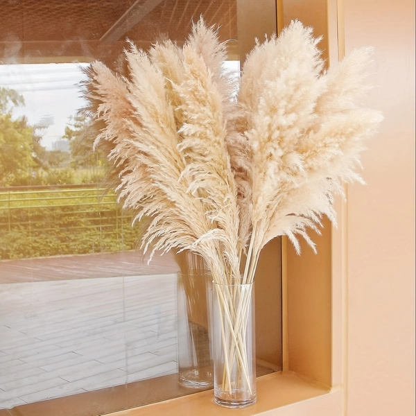 Natural Beige Pampas Grass - 10 Stems, 40" Tall, Fluffy Dried Reed Decor | Elegant Bohemian Home Decor for Weddings, Parties, Holidays
