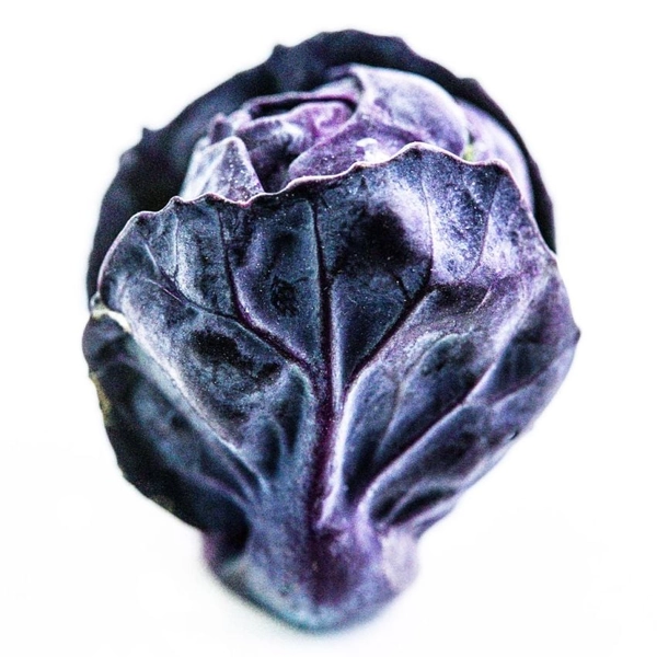Brussels Sprout Seeds, Red Rubine 