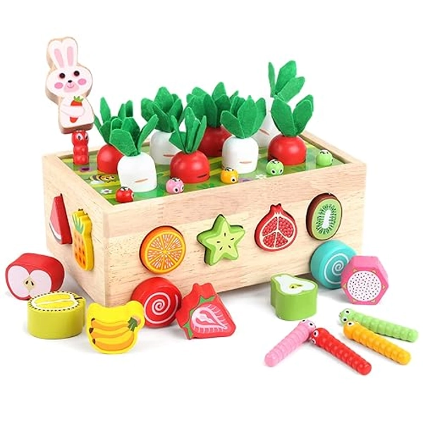 Toddlers Montessori Wooden Educational Toys for Baby Boys Girls Age 1 2 3 Year Old, Shape Sorting Toys 1st One First Birthday Girl Gifts for Kids 1-3, Wood Preschool Learning Fine Motor Skills Game - Wooden Toy1