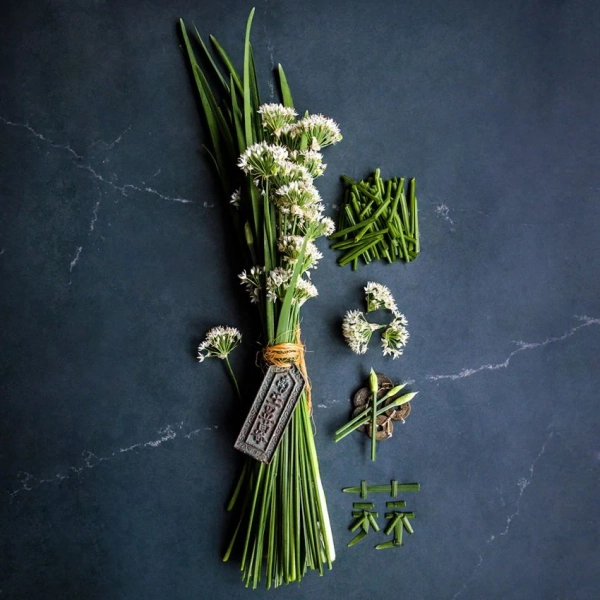 Chive Seeds, Chinese 