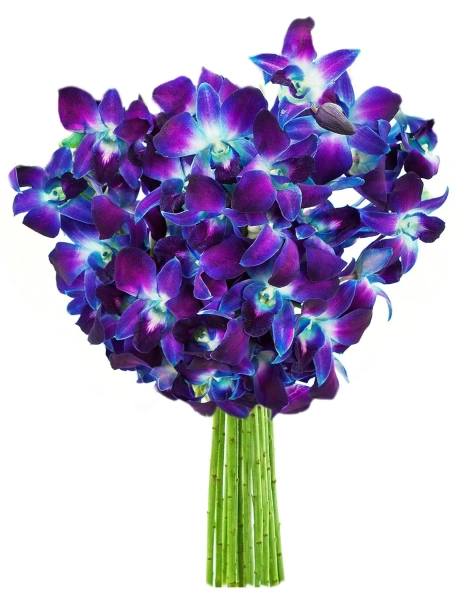 KaBloom: Fall Collection- Bouquet of 10 Yellow Tulips with Vase,Next-Day Delivery, Gift of Fresh Flowers for Every Occasion.