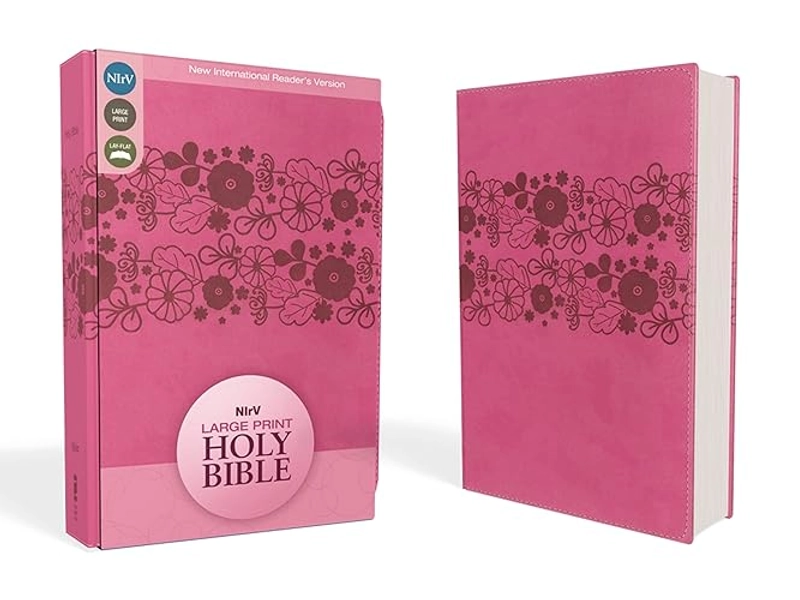NIRV Holy Bible