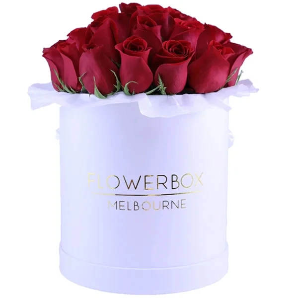 Red Roses | M