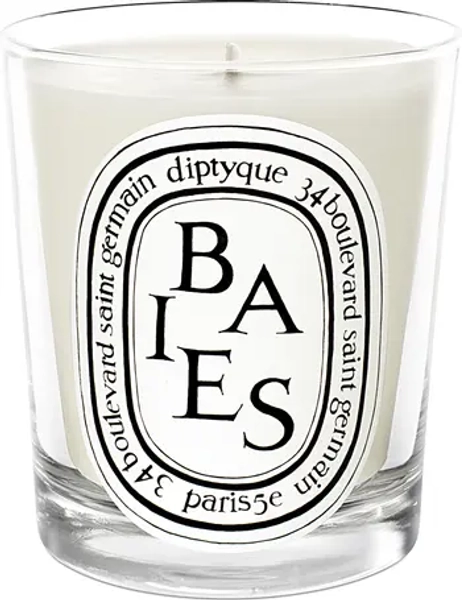 Diptyque Baies (Berries) Scented Candle | Nordstrom