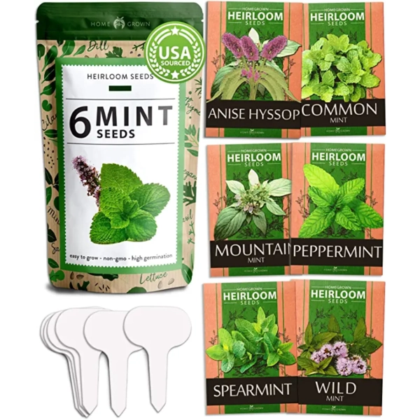 Mint Seed Pack - (6 Variety)