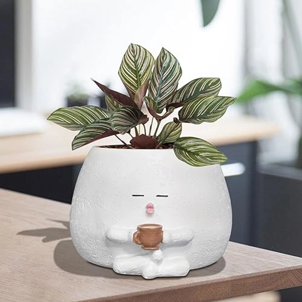 Toparad Smily Face Planter Pot with Coffee Cup Cute Resin Flower Head Planters for Indoor Outdoor Unique Sit Succulent Pots with Drainage Hole Gift IdeaI for Mother Christmas (White) - White