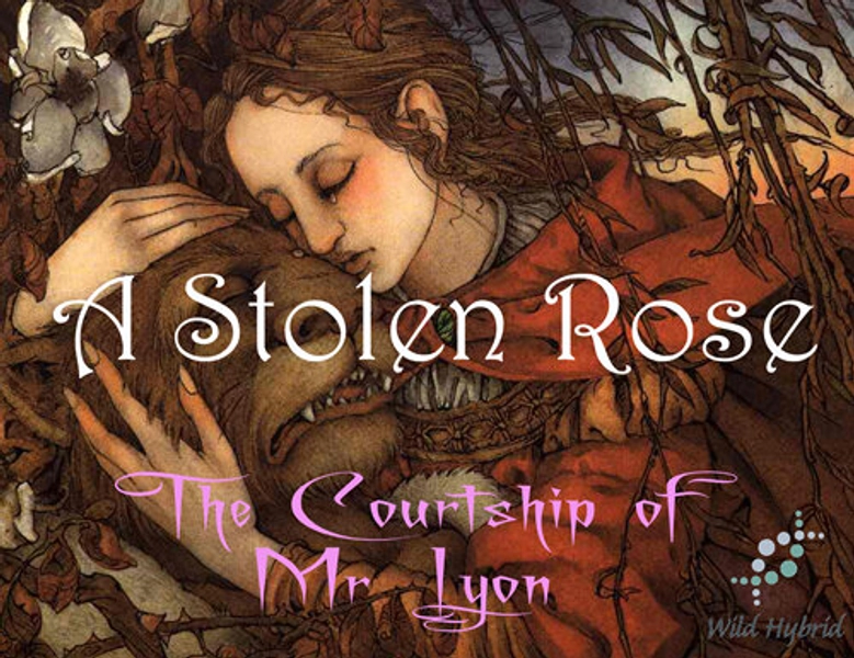 A Stolen Rose