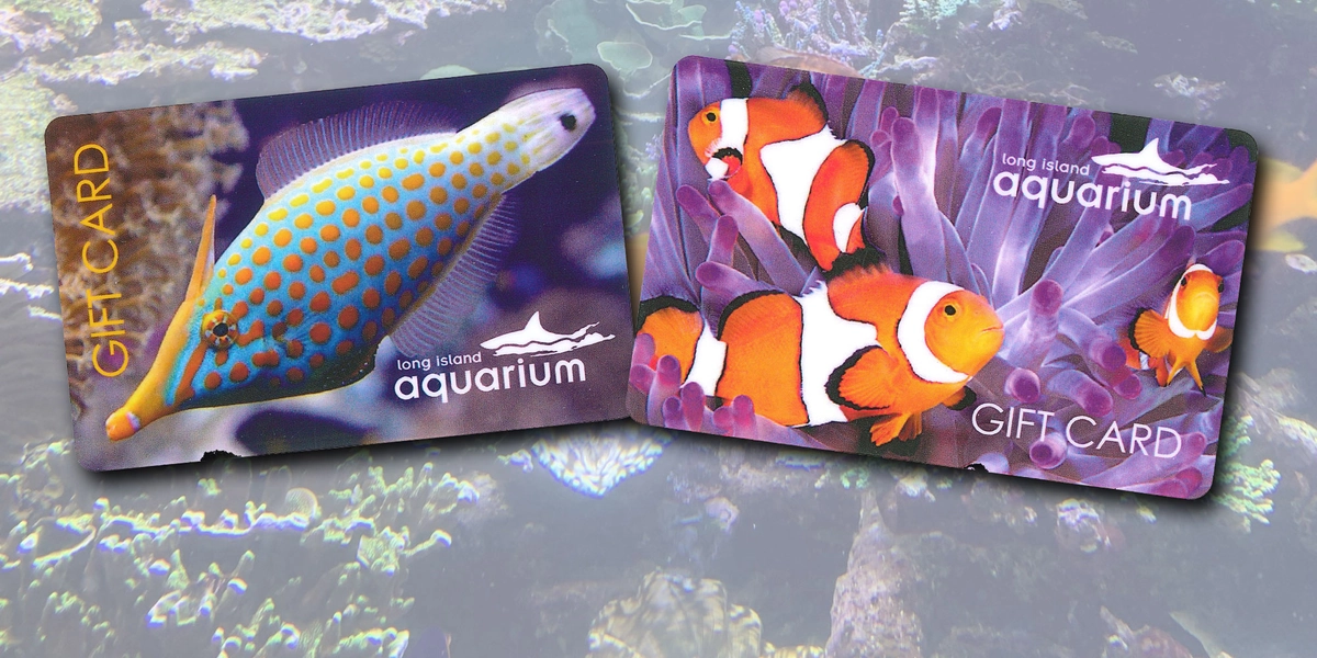 Long Island Aquarium Gift Cards