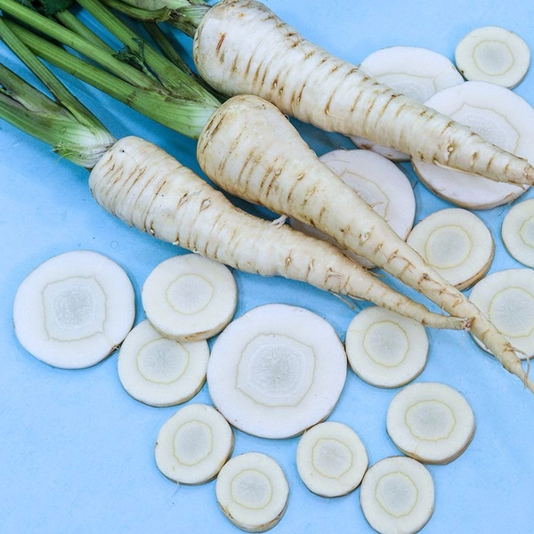 Parsnip Seeds, Harris Model