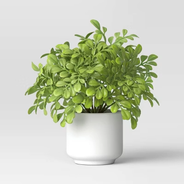 fake plant