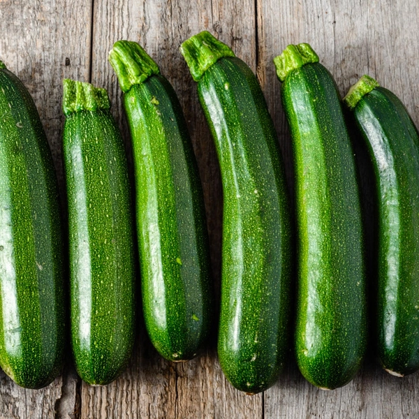 Dark Green Zucchini (Cucurbita pepo)