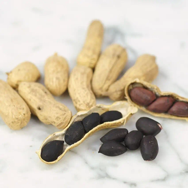 Peanut Seeds, Schronce's Black