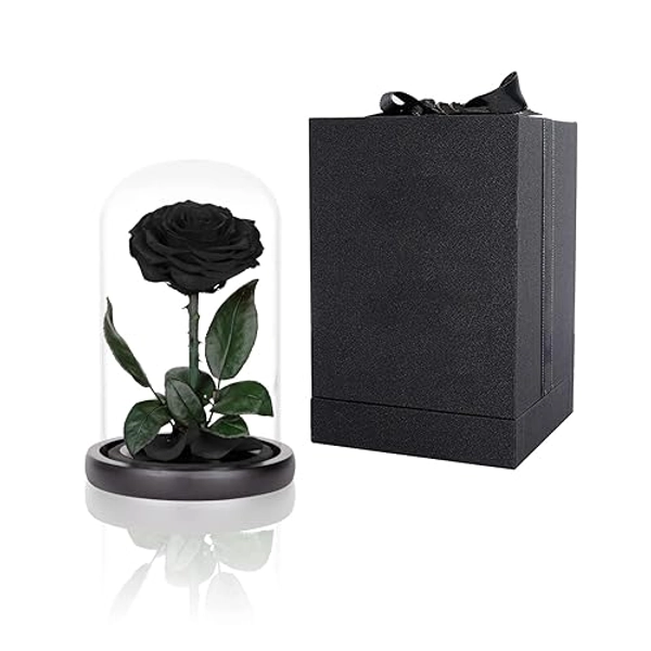 Preserved Rose Black Forever Roses Real Rose in Glass Dome, Eternal Roses Never Withered Flower Gifts for Female, Valentine's Day, Mother's Day, Birthday, Christmas (6.7 inch) - Black - Medium