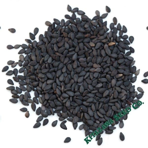 True Leaf Market | True Leaf Market Seed Company
