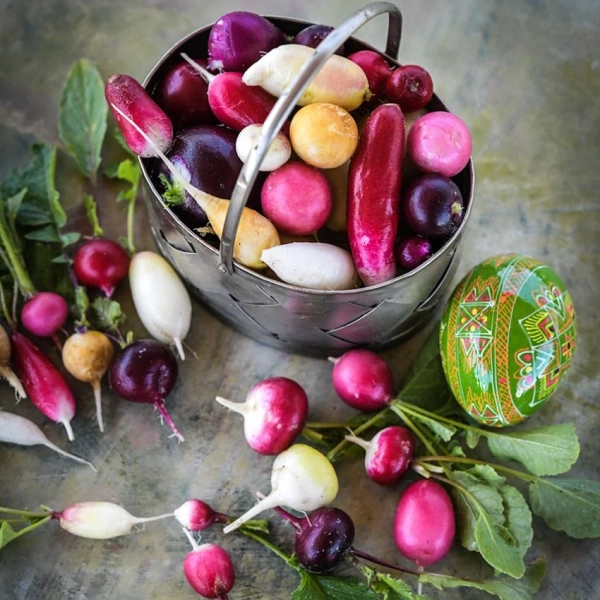 Radish Seeds, Easter Basket Mix