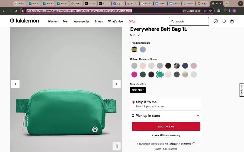 Everywhere Belt Bag 1L