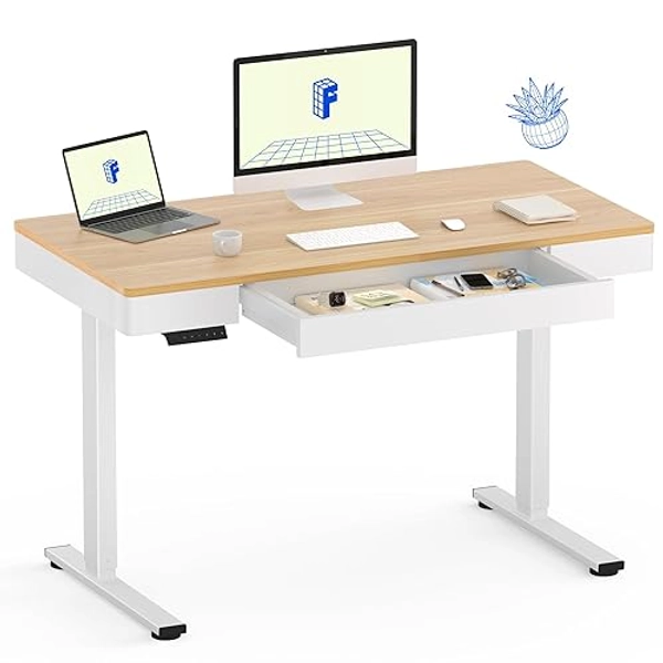 FLEXISPOT Q5 Standing Desk with Drawer, 48 x 24 Inch Electric Adjustable Height Stand Up Desk with Storage Organizer, Whole Piece Wooden Desktop for Home, Office, Computer Workstation, Maple