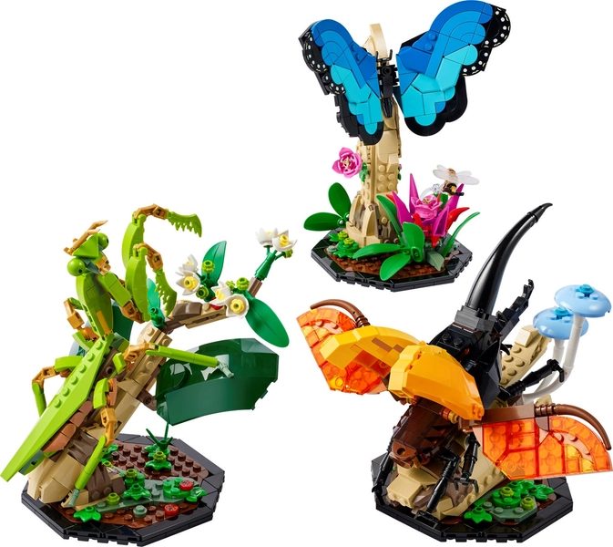 Die Insektensammlung 21342 | Ideas | Offizieller LEGO® Shop DE 