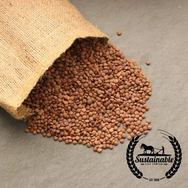 True Leaf Market | True Leaf Market Seed Company
