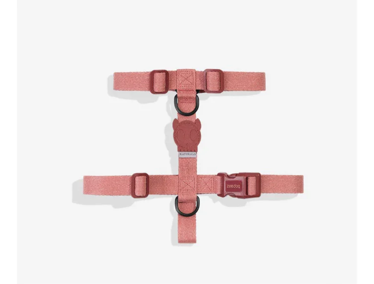 Zee Dog Canyon | H Harness