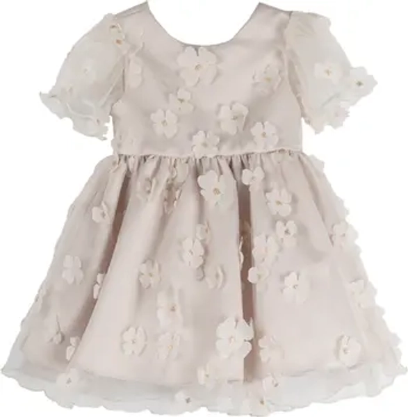 Rare Editions 3D Flower Mesh Dress | Nordstromrack